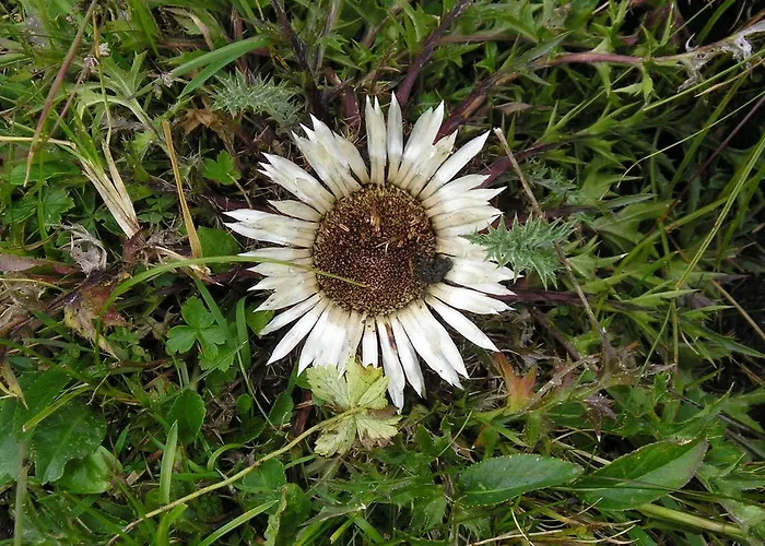 דירה Haus Vorrath באד הופגסטין